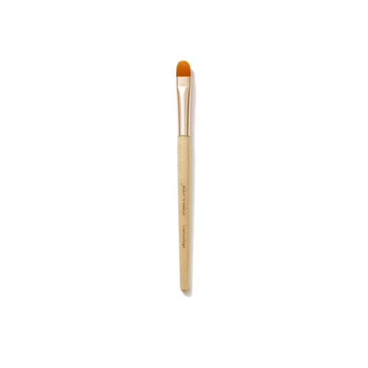 Jane Iredale Pinceau Camouflage